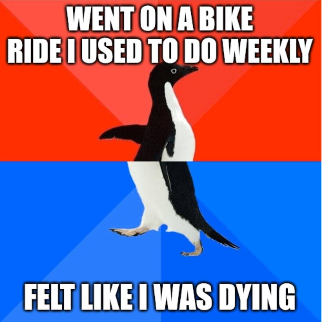 WENTON A BIKE RIDE 1LUSED TODO WEEKLY X L X FELTLIKE 1 WAS DYING