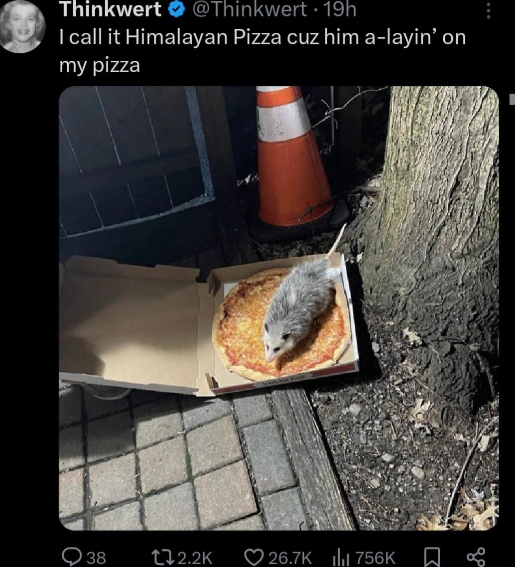 Thinkwert Thinkwert 19n call it Himalayan Pizza cuz him a layin on my pizza O3s 22Kk O267K 756k Q L