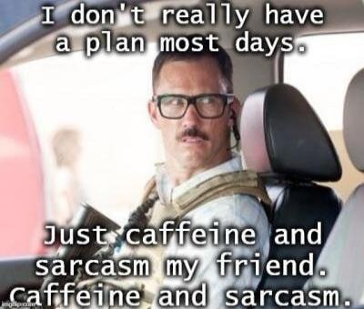 I don't really have a plan most days. Just caffeine and sarcasm my friend. caffeine and sarcasm.