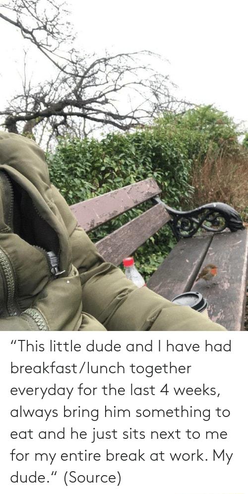 v This little dude and have had breakfastlunch together everyday for the last 4 weeks always bring him something to eat and he just sits next to me for my entire break at work My dude Source