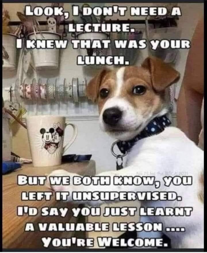 lool IDONTNEED A i _xi LECTURED NEW Tl WAS YOUR