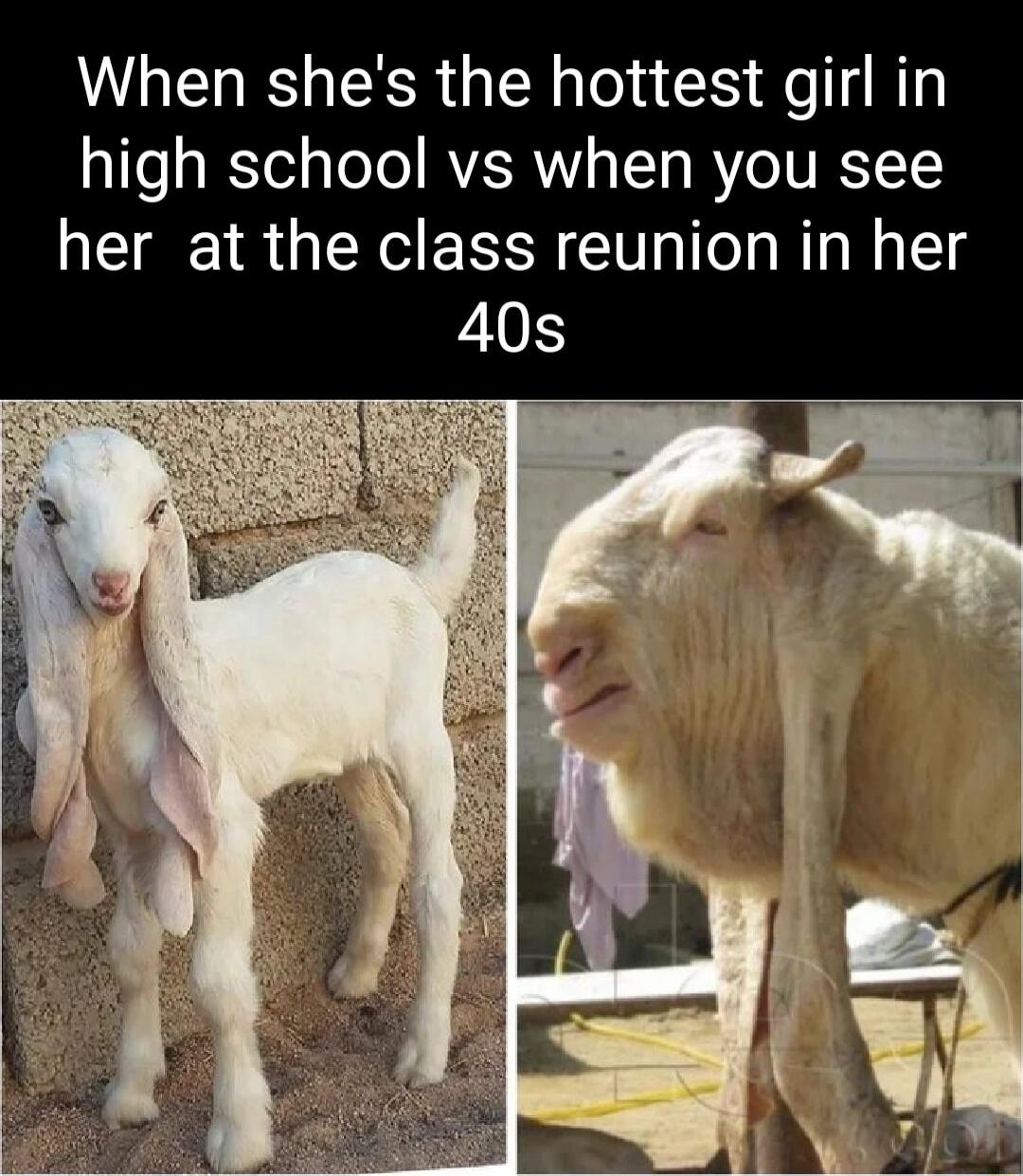 When shes the hottest girl in high school vs when you see her at the class reunion in her 40s