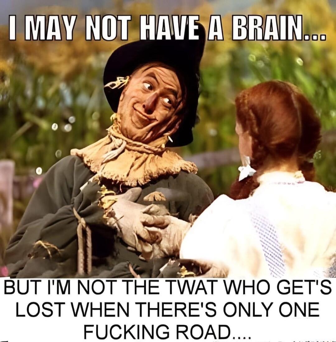 MAY NOT HAVESAIBRAIN N Vi BUT IM OT THE TWAlfWHO GETS LOST WHEN THERES ONLY ONE FUCKING ROAD