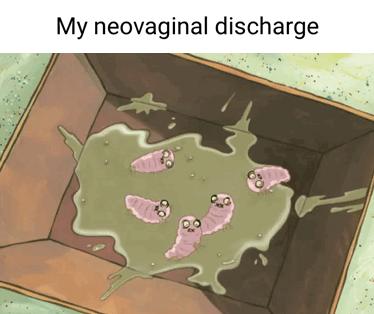 My neovaginal discharge