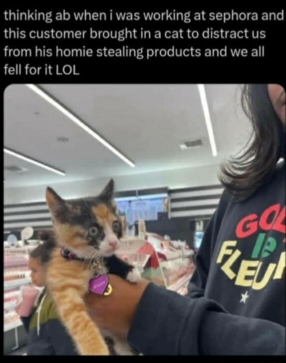 thinking ab when i was working at sephora and this customer brought in a cat to distract us from his homie stealing products and we all fell for it LOL