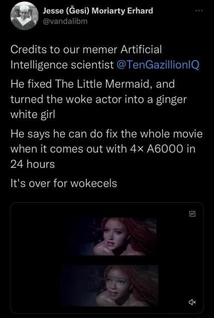 Jesse Gesi Moriarty Erhard GELLEI Credits to our memer Atrtificial Intelligence scientist TenGazillionlQ He fixed The Little Mermaid and turned the woke actor into a ginger white girl He says he can do fix the whole movie when it comes out with 4x A6000 in 24 hours Its over for wokecels L