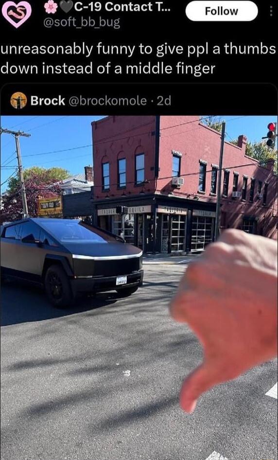 7C 19 Contact T soft_bb bug unreasonably funny to give ppl a thumbs down instead of a middle finger Brock brockomole 2d