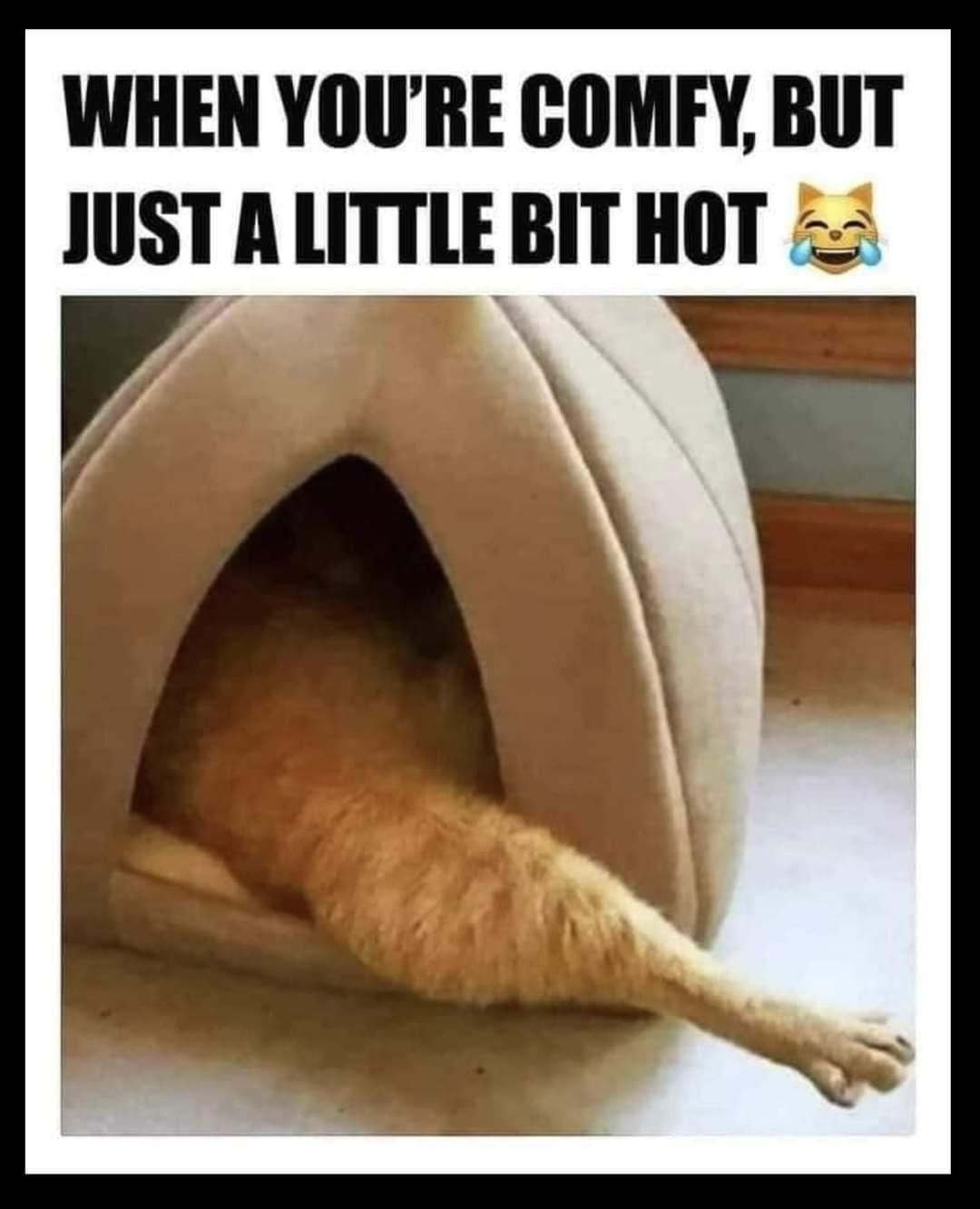 WHEN YOURE COMFY BUT JUST A LITTLE BIT HOT 2