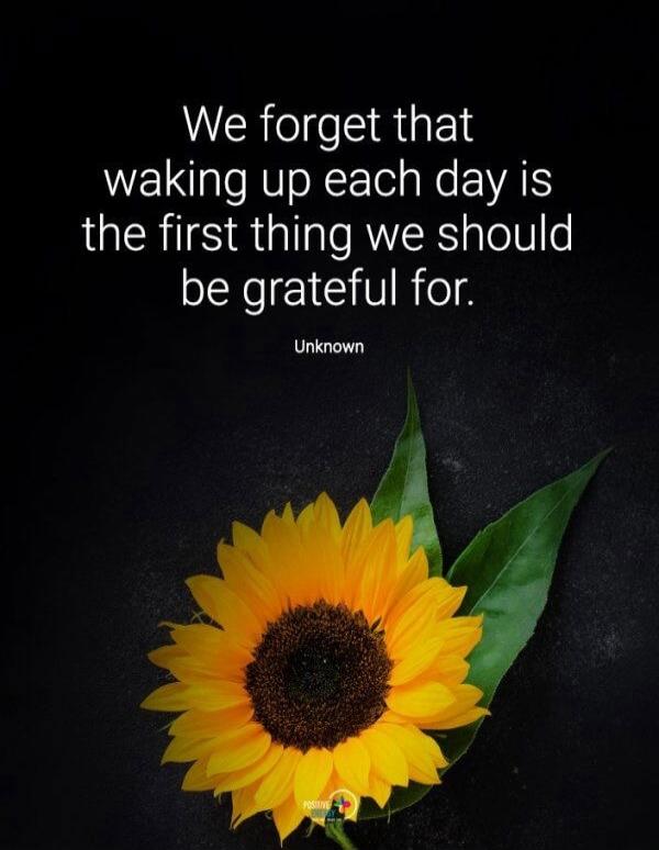 We forget that waking up each day is the first thing we should be grateful for. Unknown