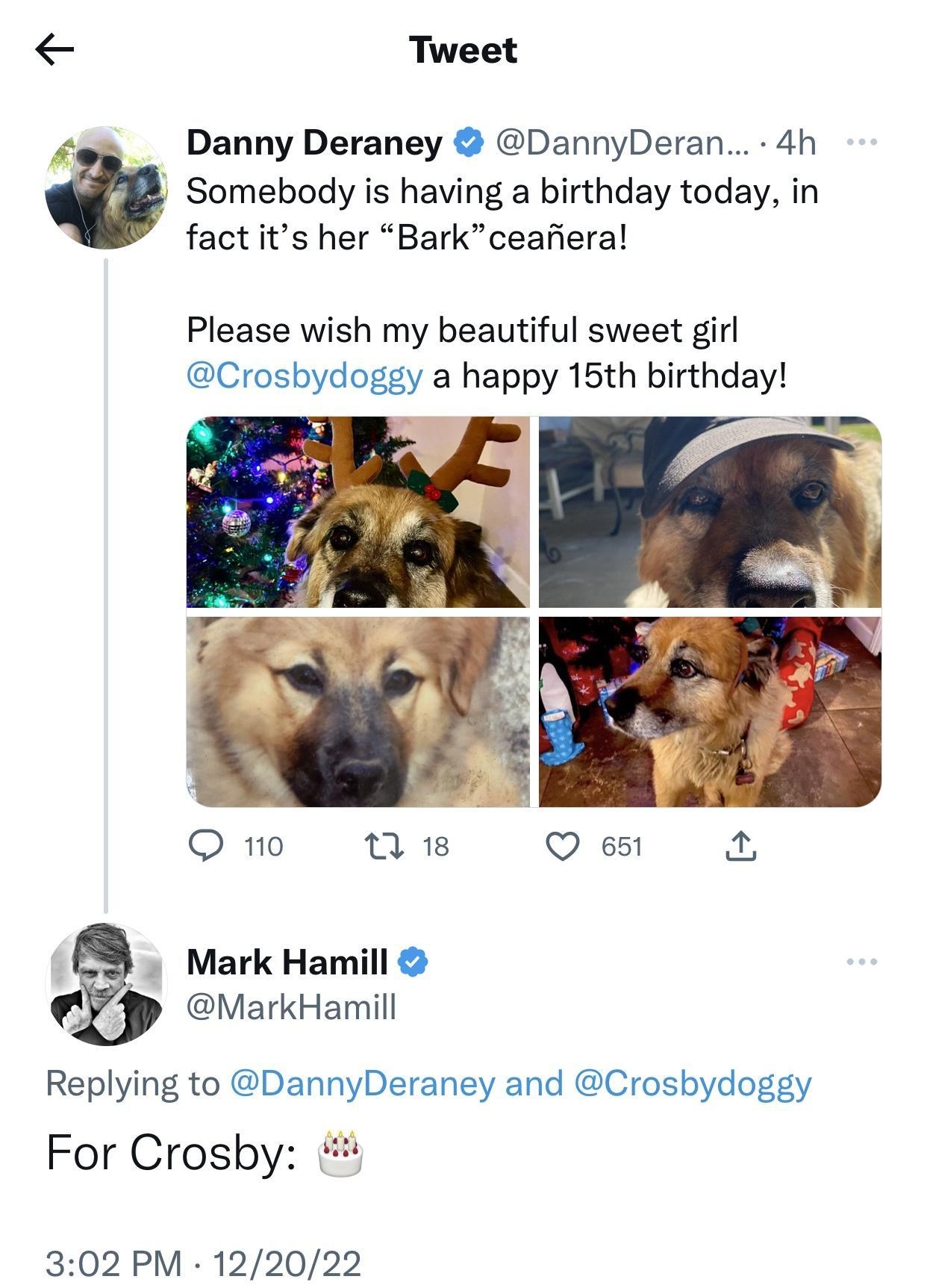 Tweet Danny Deraney DannyDeran 4h a Somebody is having a birthday today in fact its her Bark ceafieral Please wish my beautiful sweet girl Crosbydoggy a happy 16th birthday 7 Q 1o ns Q 651 x Mark Hamill MarkHamill Replying to DannyDeraney and Crosbydoggy For Crosby 302 PM 122022 2 Retweets 22 Likes