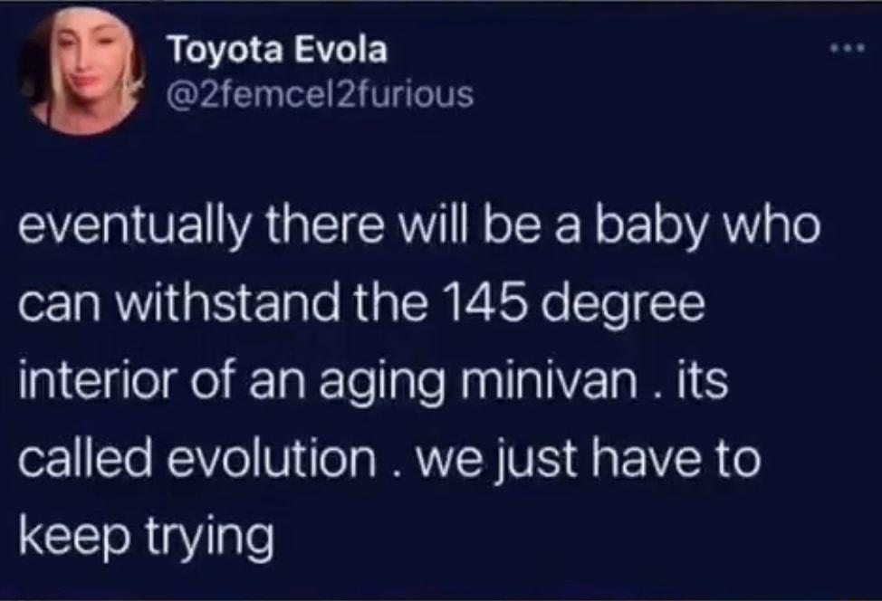 Toyota Evola CraEE AT SV VEYAGTEERNTI R oTREN o oA pTe can withstand the 145 degree interior of an aging minivan its o221 Te RWe Vo BNV VIS g EIVER o keep trying