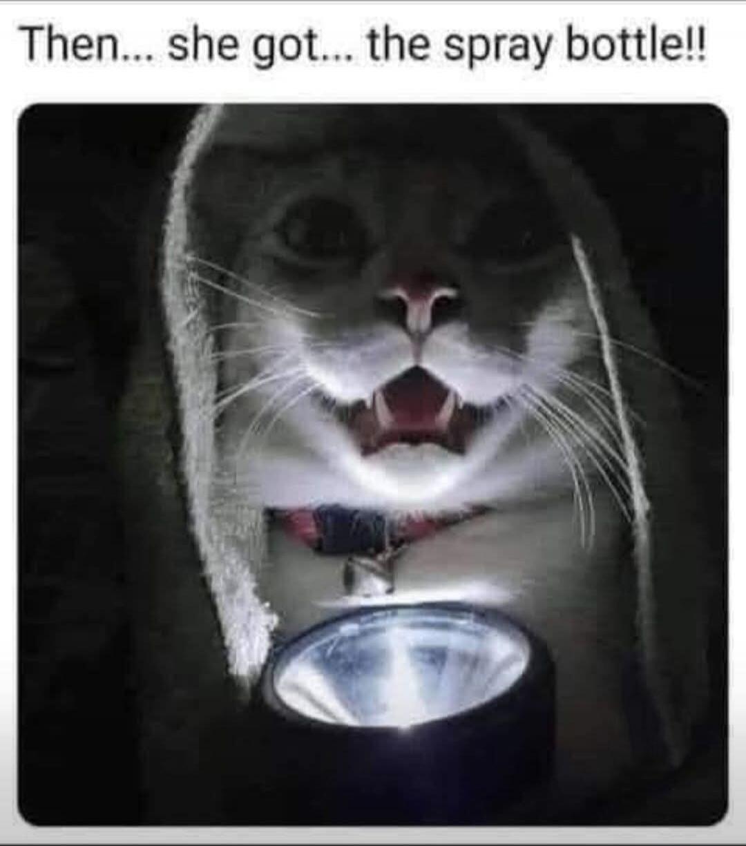 Then... she got... the spray bottle!!