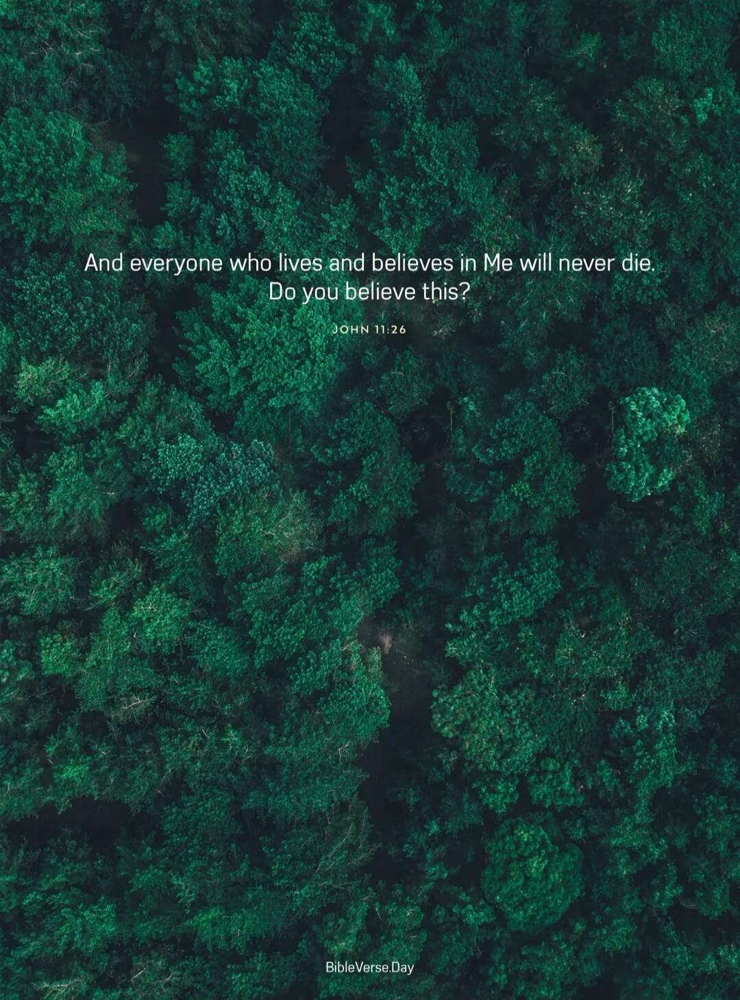 And everyone who lives and believes in Me will never die. Do you believe this? John 11:26