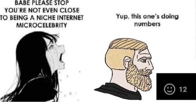 BABE PLEASE STOP YOU RE NOT EVEN CLOSE 1O BEING A NICHE INTERNET Yup this ones doing MICROCELEBRITY numbers