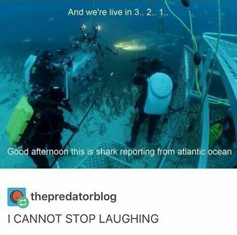 And were live in 3 2 1 oW Goiod afternoon this isshark reporting from atiantie ocean gthepredatorblog CANNOT STOP LAUGHING
