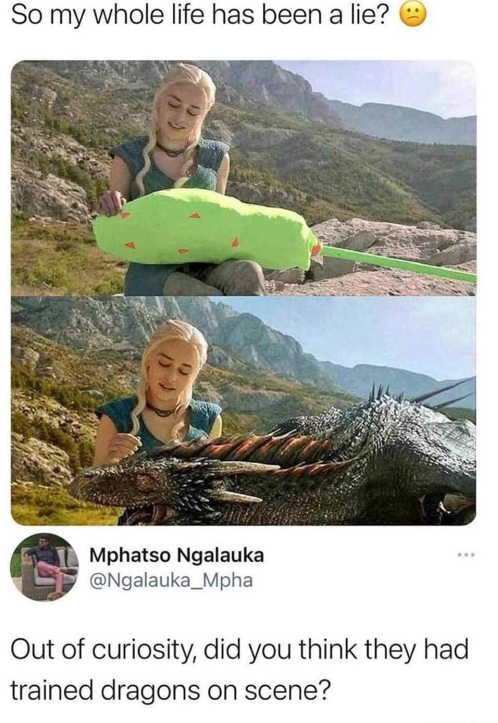 So my whole life has been a lie Mphatso Ngalauka Ngalauka_Mpha Out of curiosity did you think they h trained dragons on scene