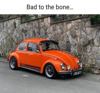 Bad to the bone...