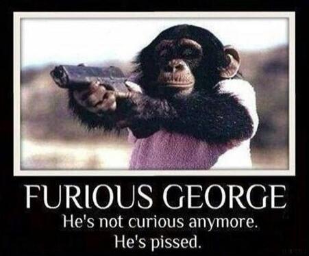 FURIOUS GEORGE He's not curious anymore. He's pissed.