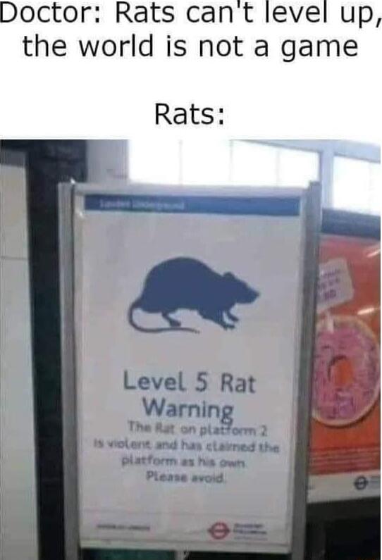 Doctor Rats cant level up the world is not a game Rats
