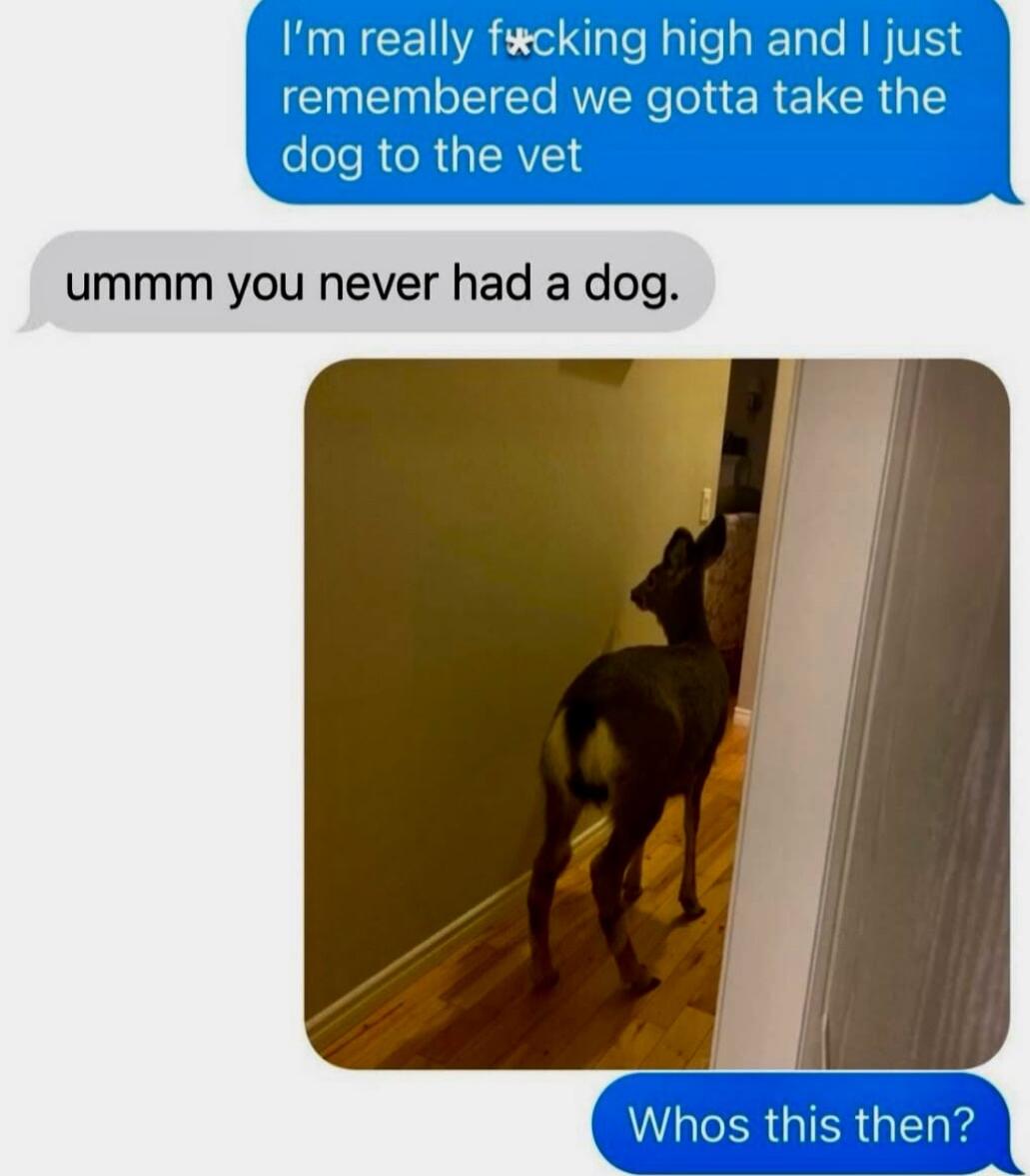 ummm you never had a dog