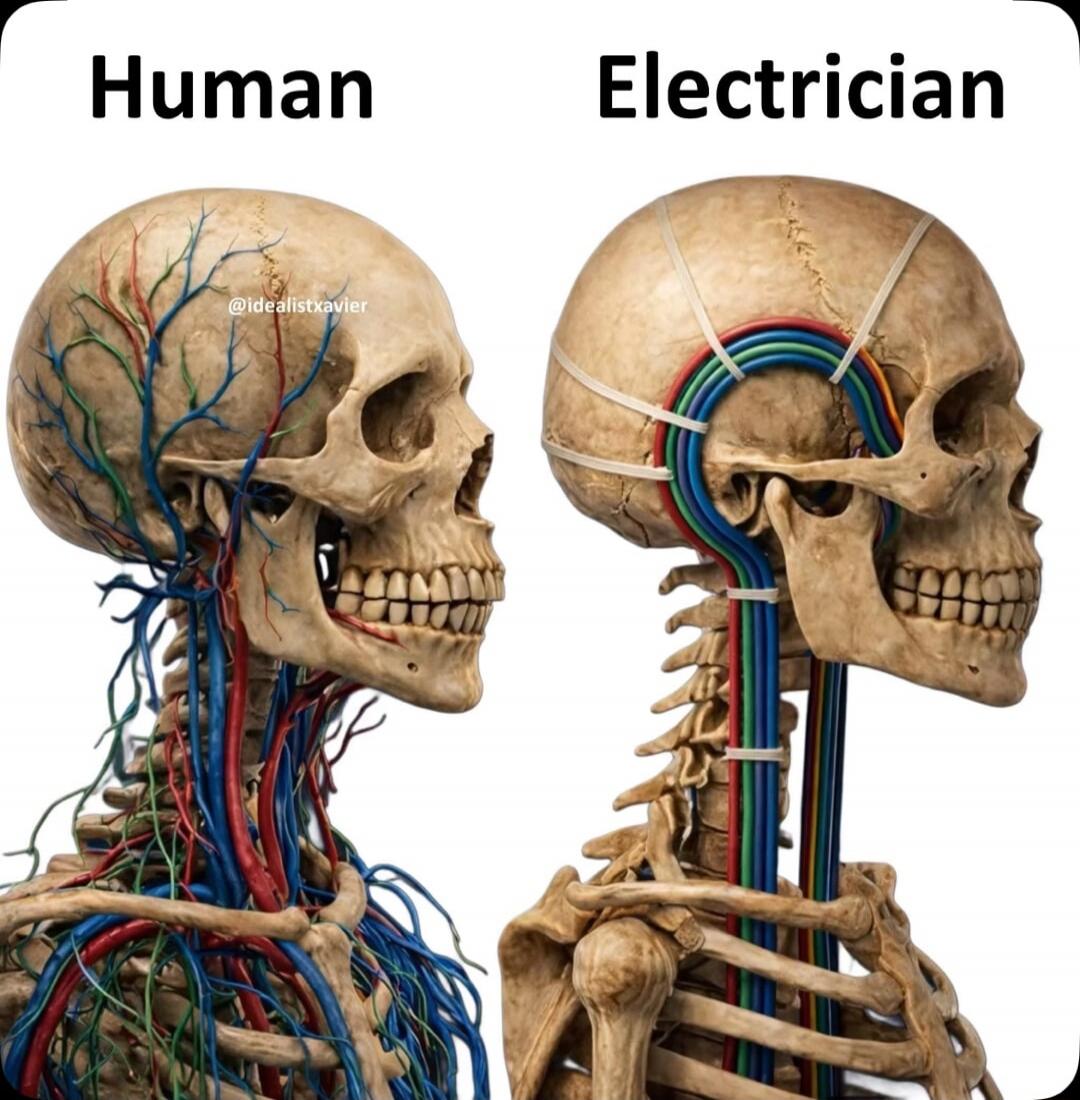Human
Electrician
