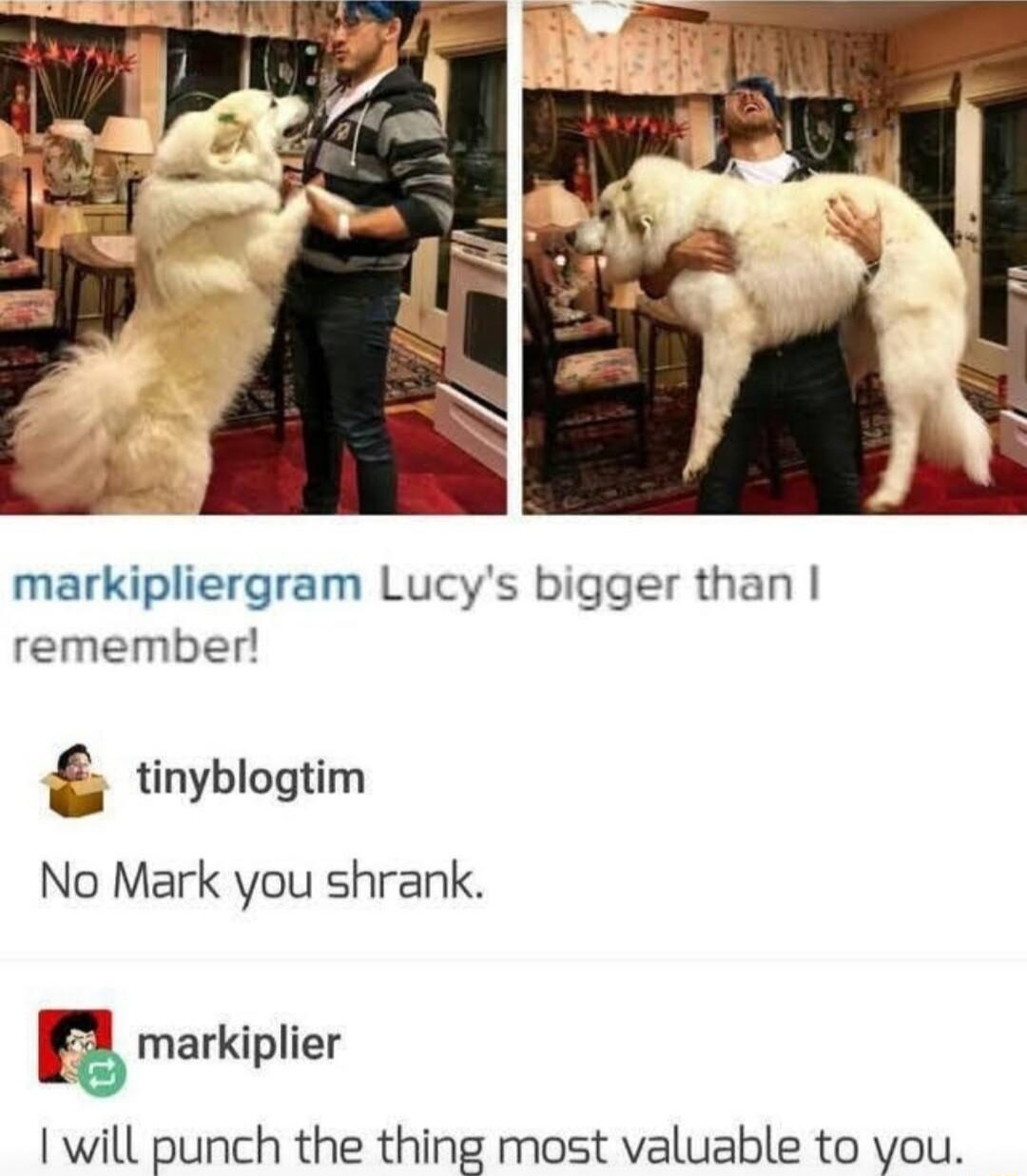 markipliergram Lucys bigger than remember B 4 1 tinyblogtim No Mark you shrank F markiplier will punch the thing most valuable to you