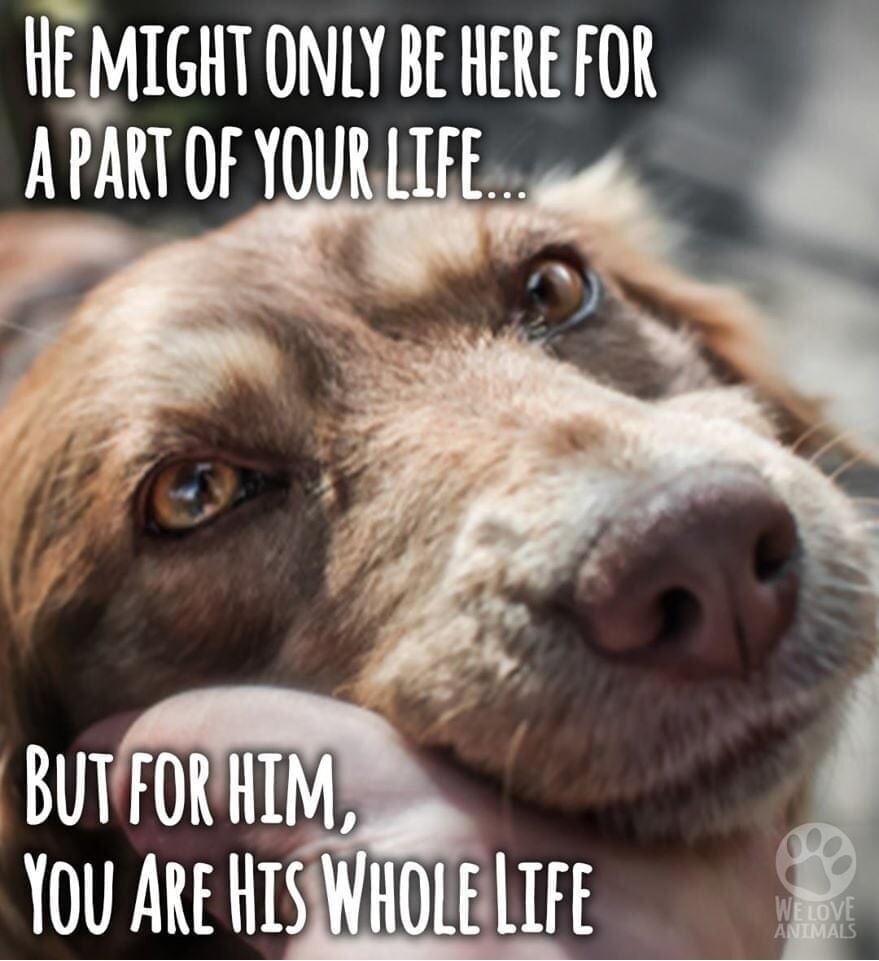 HEMIGHT ONLY BE HEREFOR BUTTORHIM 0GR