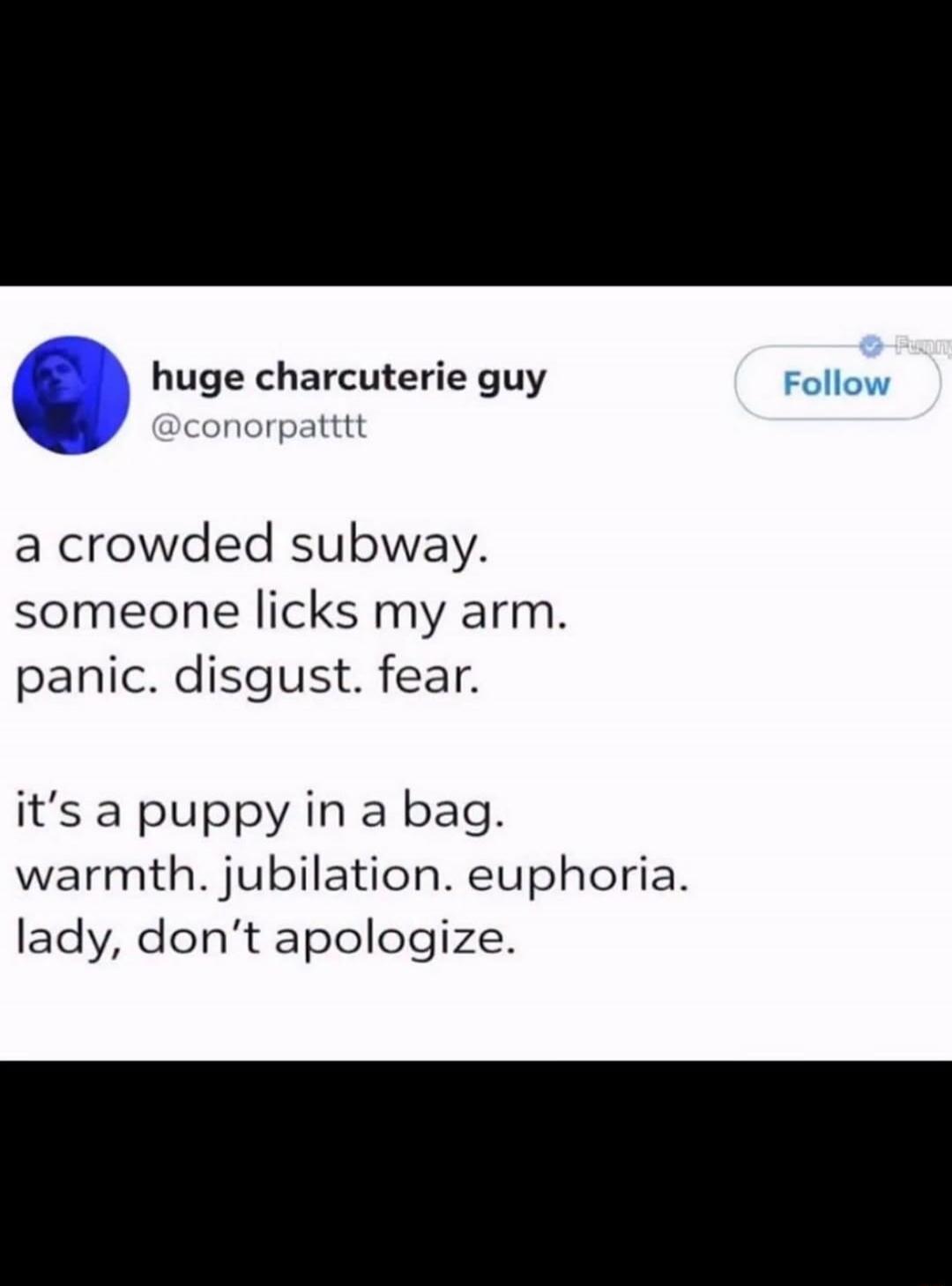huge charcuterie guy @conorpattattt Follow a crowded subway. someone licks my arm. panic. disgust. fear. it's a puppy in a bag. warmth. jubilation. euphoria. lady, don't apologize.