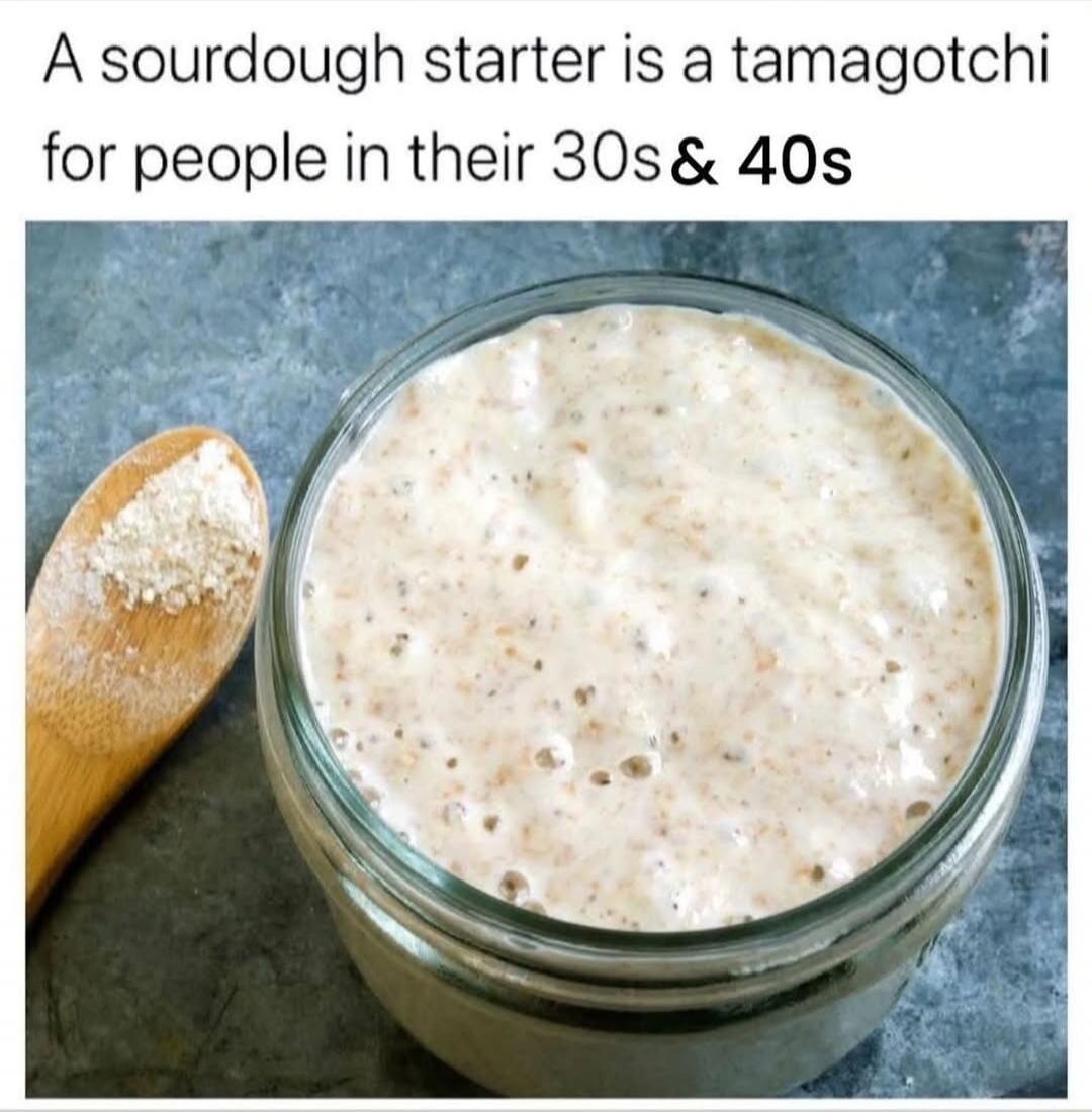 A sourdough starter is a tamagotchi for people in their 30s & 40s