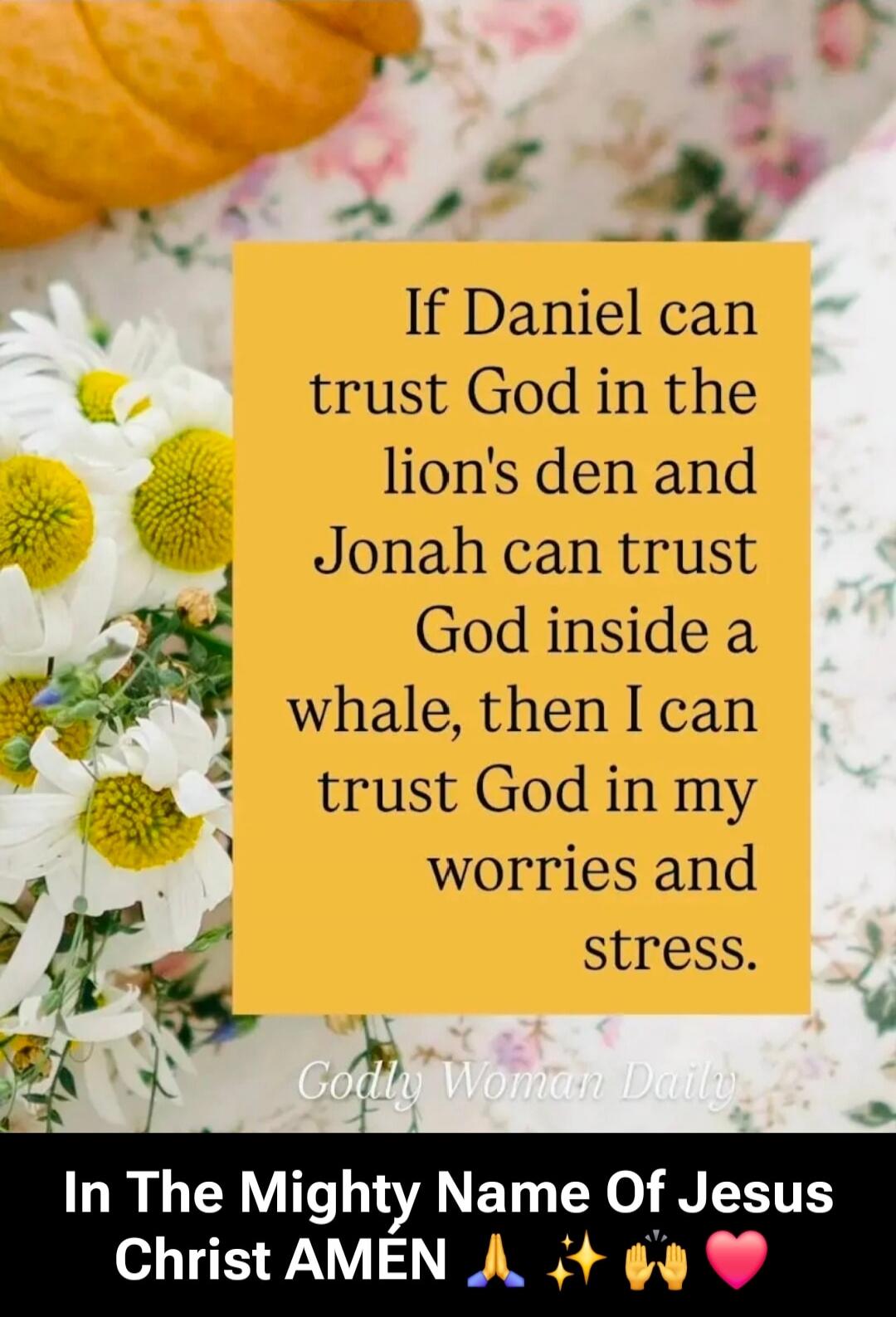 If Daniel can trust God in the lion's den and Jonah can trust God inside a whale, then I can trust God in my worries and stress. In The Mighty Name Of Jesus Christ AMEN 🙏✨🙌💗