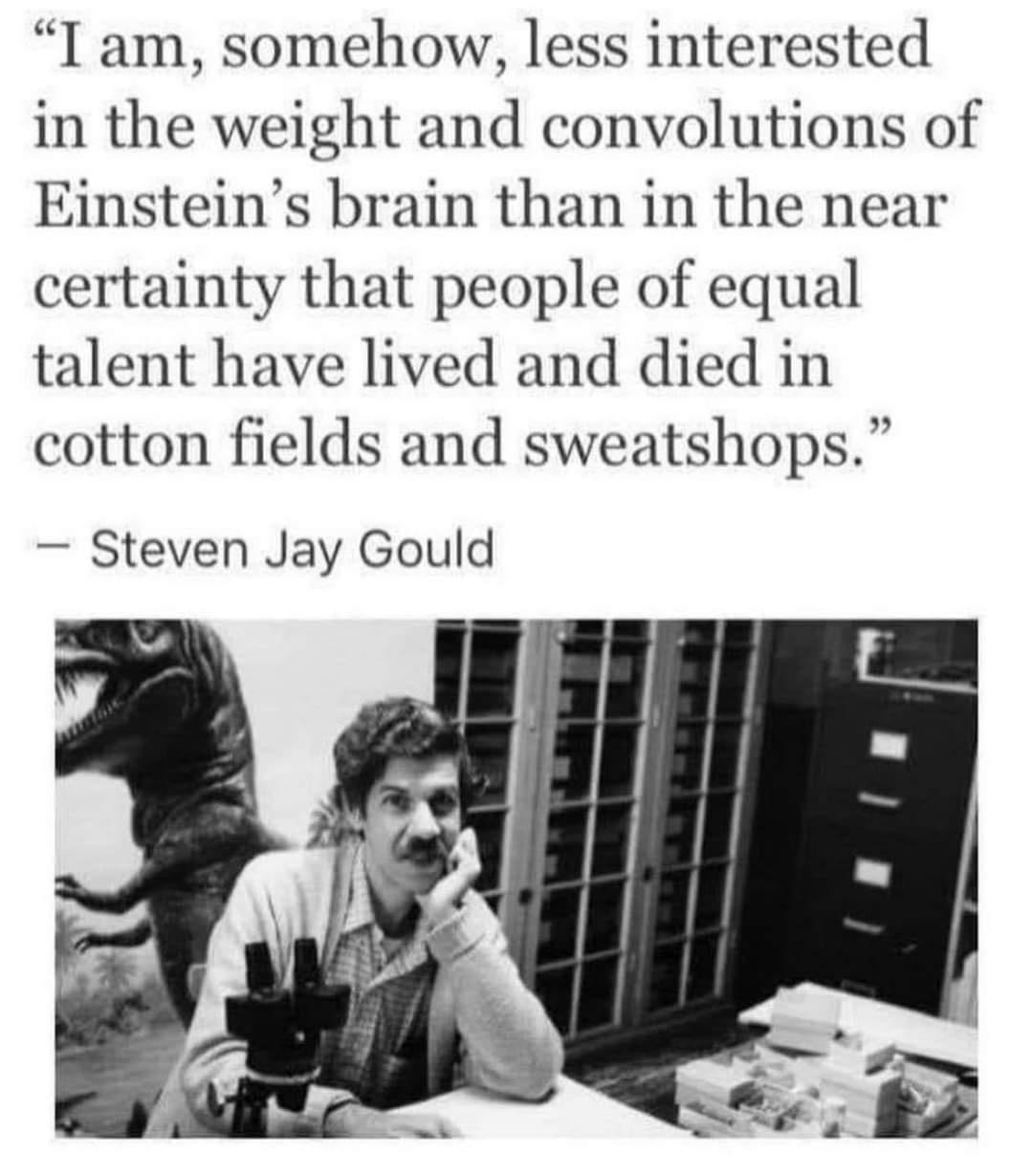 I am somehow less interested in the weight and convolutions of Einsteins brain than in the near certainty that people of equal talent have lived and died in cotton fields and sweatshops Steven Jay Gould