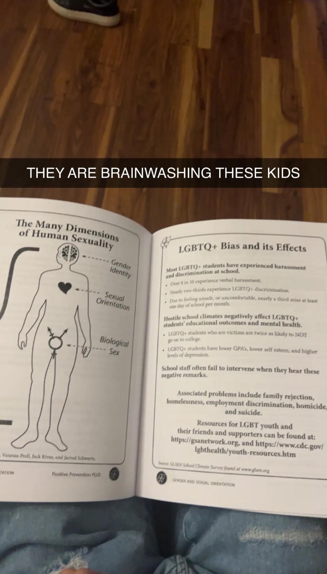 THEY ARE BRAINWASHING THESE KIDS The Many of Huny Ly GBTQ Bias and its Effects