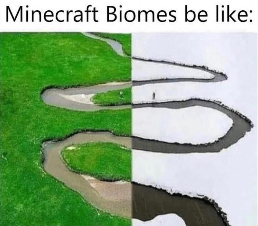 Minecraft Biomes be like