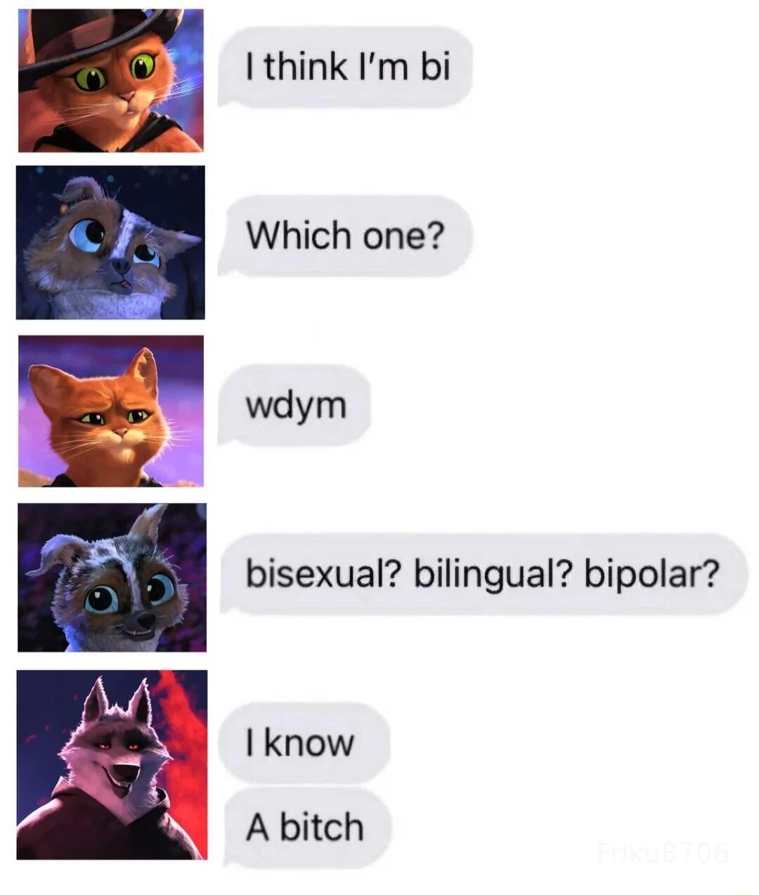 I think Im bi Which one wdym bisexual bilingual bipolar