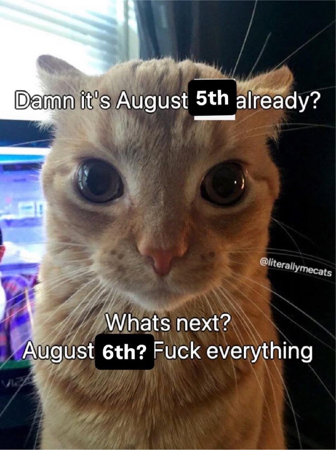 Damn it's August 5th already? Whats next? August 6th? Fuck everything