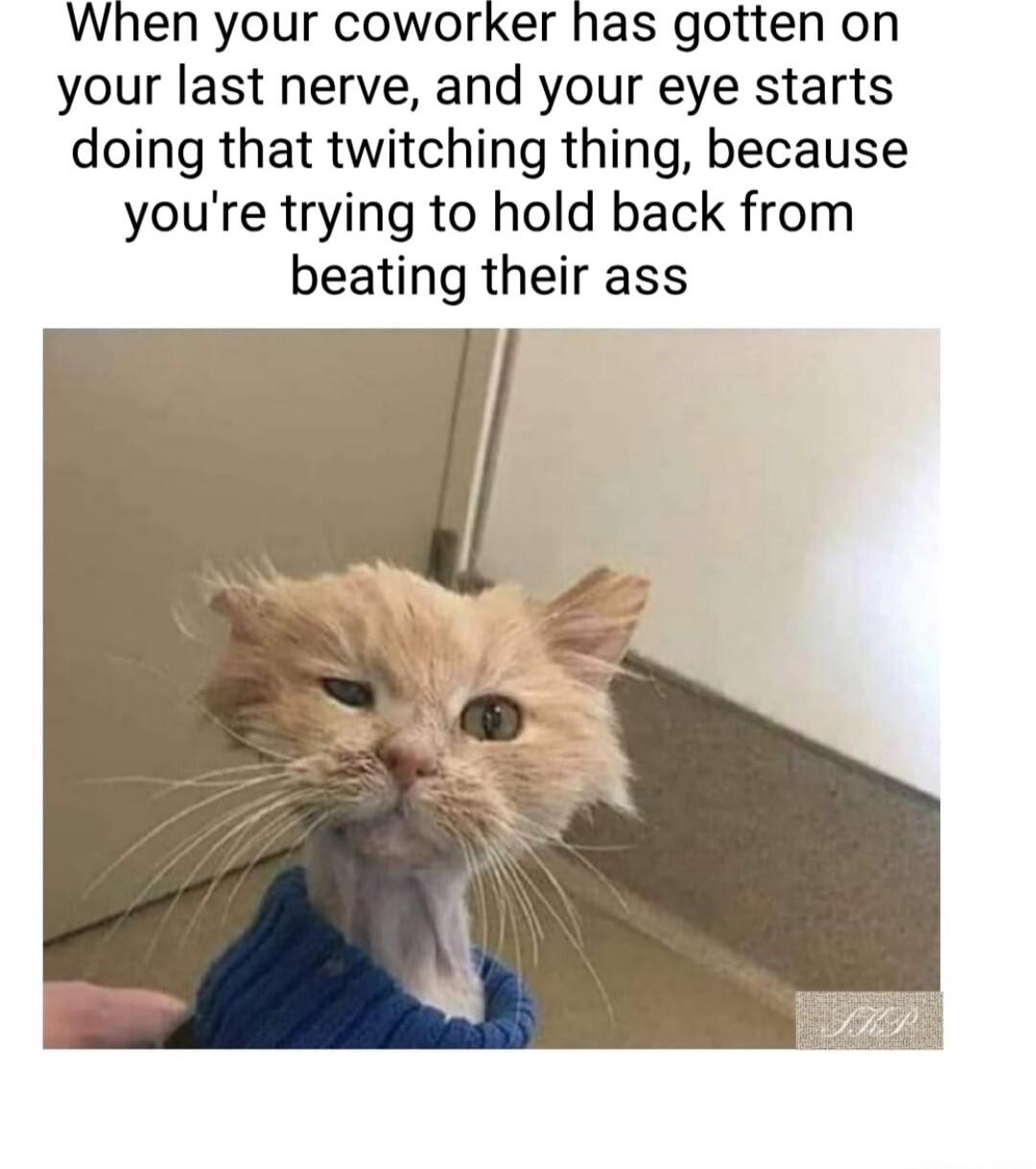 When your coworker has gotten on your last nerve and your eye starts doing that twitching thing because youre trying to hold back from beating their ass
