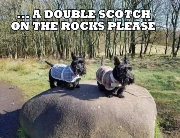 ... A DOUBLE SCOTCH ON THE ROCKS PLEASE