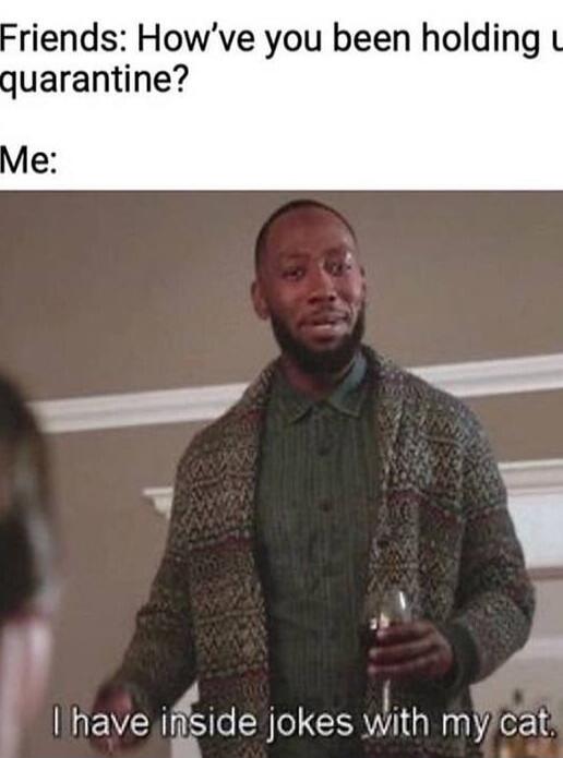 Friends: How’ve you been holding up during quarantine? Me: I have inside jokes with my cat.