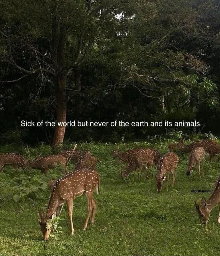 Sick of the world but never of the earth and its animals