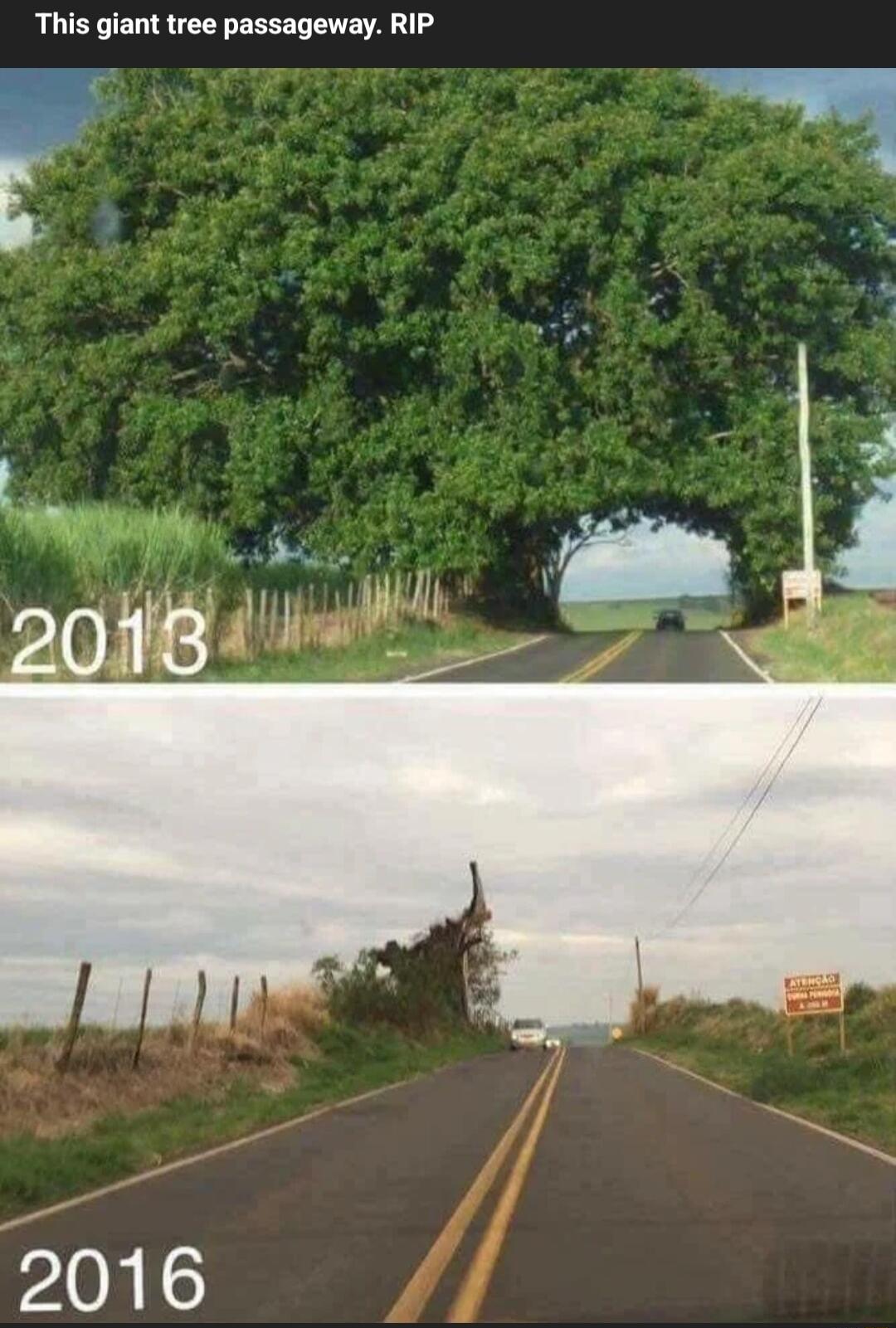 2016