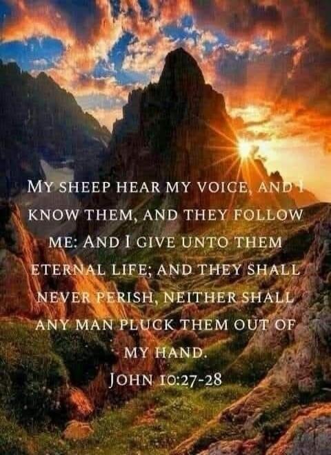 My sheep hear my voice, and I know them, and they follow me: And I give unto them eternal life; and they shall never perish, neither shall any man pluck them out of my hand. John 10:27-28
