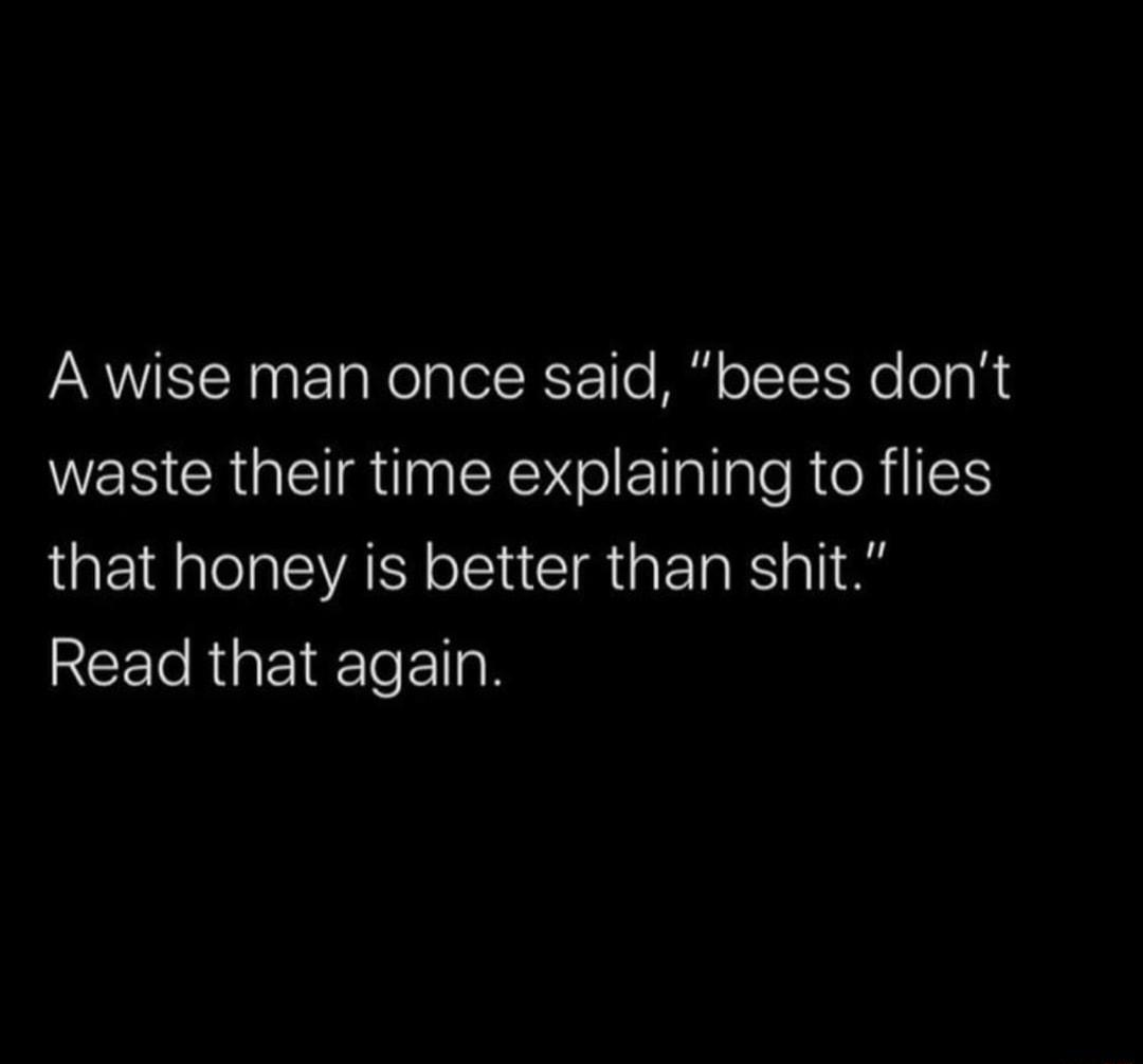A wise man once said bees dont waste their time explaining to flies that honey is better than shit Read that again
