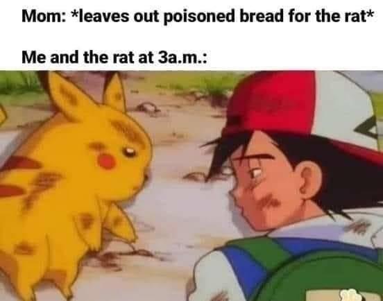 Mom leaves out poisoned bread for the rat Me and the rat at 3am NS by