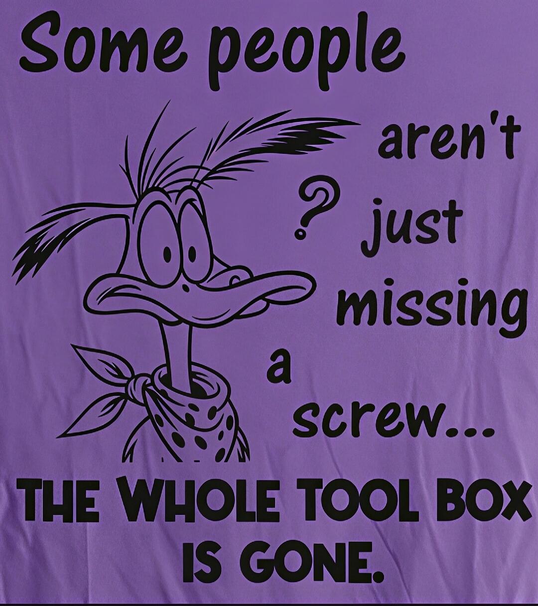 Some people aren't just missing a screw... THE WHOLE TOOL BOX IS GONE.