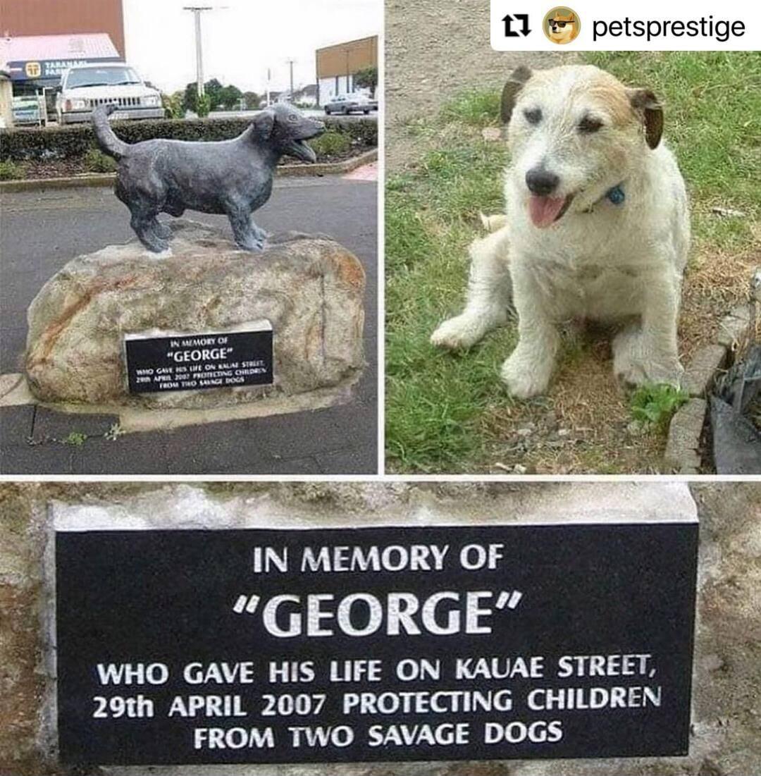 ypeann R O 3 IN MEMORY OF 10 3 i WHO GAVE HIS LIFE ON KAUAE STREET 20th APRIL 2007 PROTECTING CHILDREN g el i e 3 A FROM TWO SAVAGE DOGS B e SN F T i