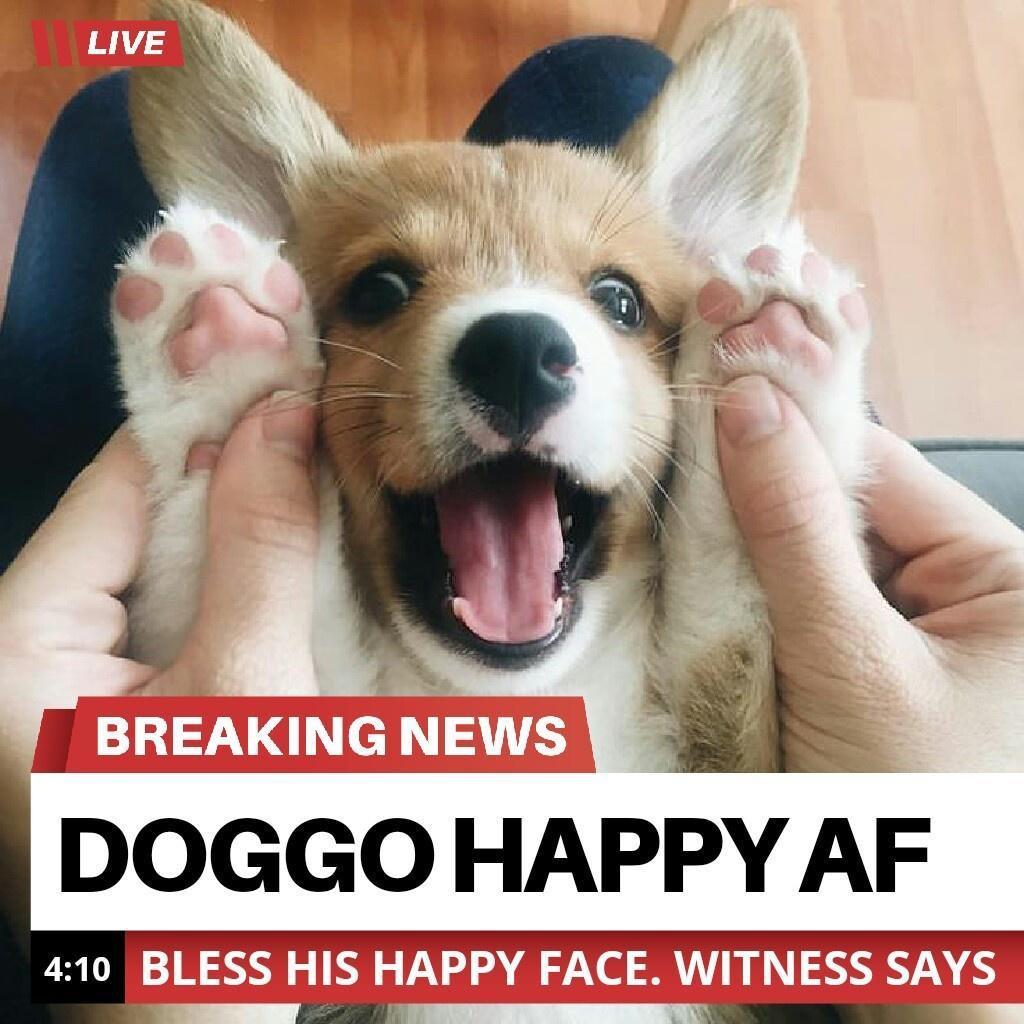LIOGGO HAPPY AF