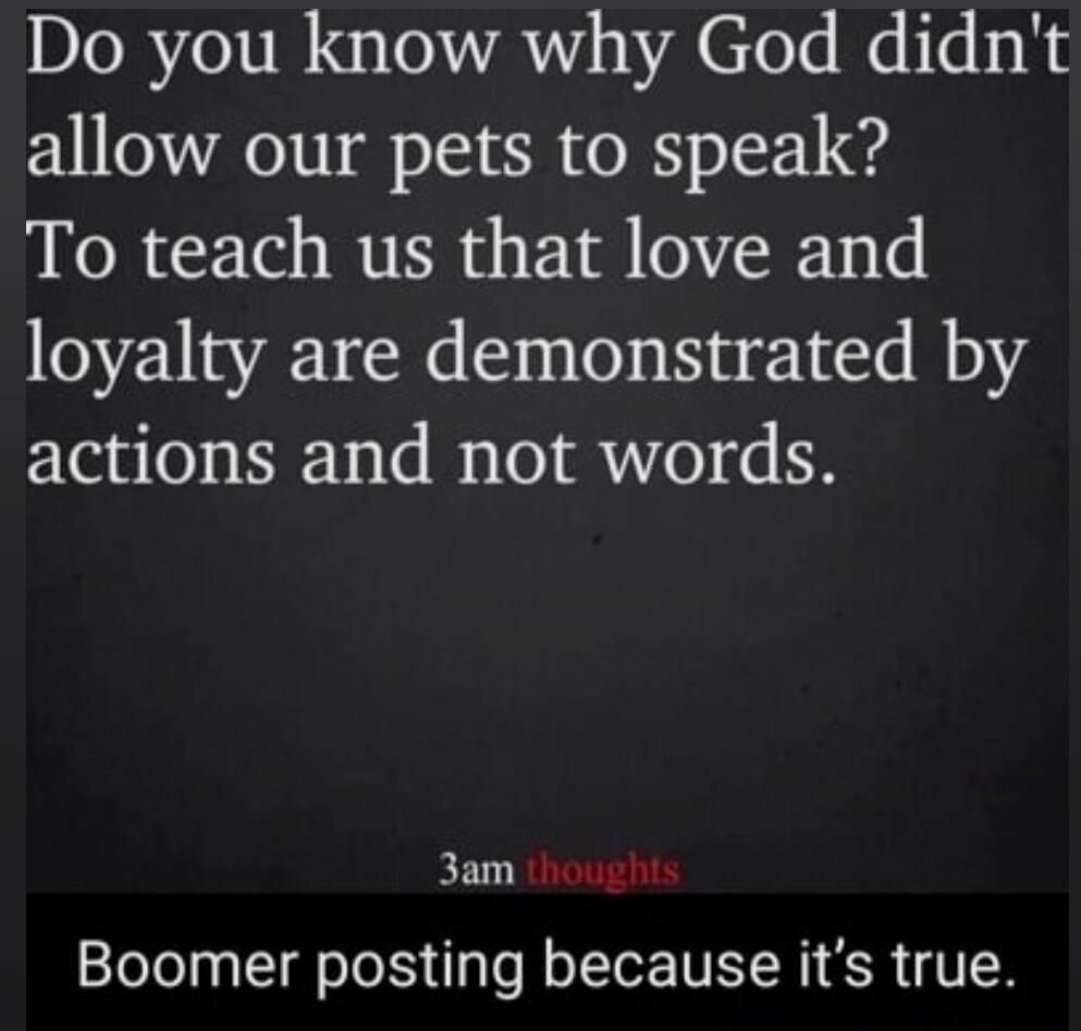 Do you know why God didn't allow our pets to speak? To teach us that love and loyalty are demonstrated by actions and not words.

3am thoughts
Boomer posting because it's true.