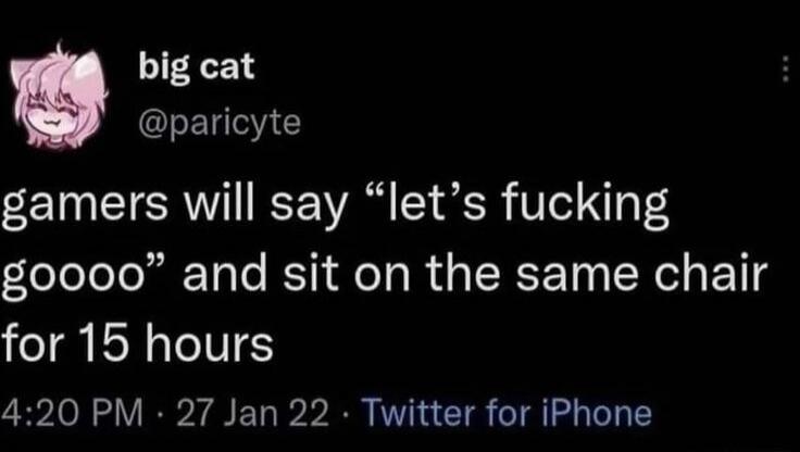 big cat @paricyte gamers will say “let’s fucking goooo” and sit on the same chair for 15 hours 4:20 PM · 27 Jan 22 · Twitter for iPhone