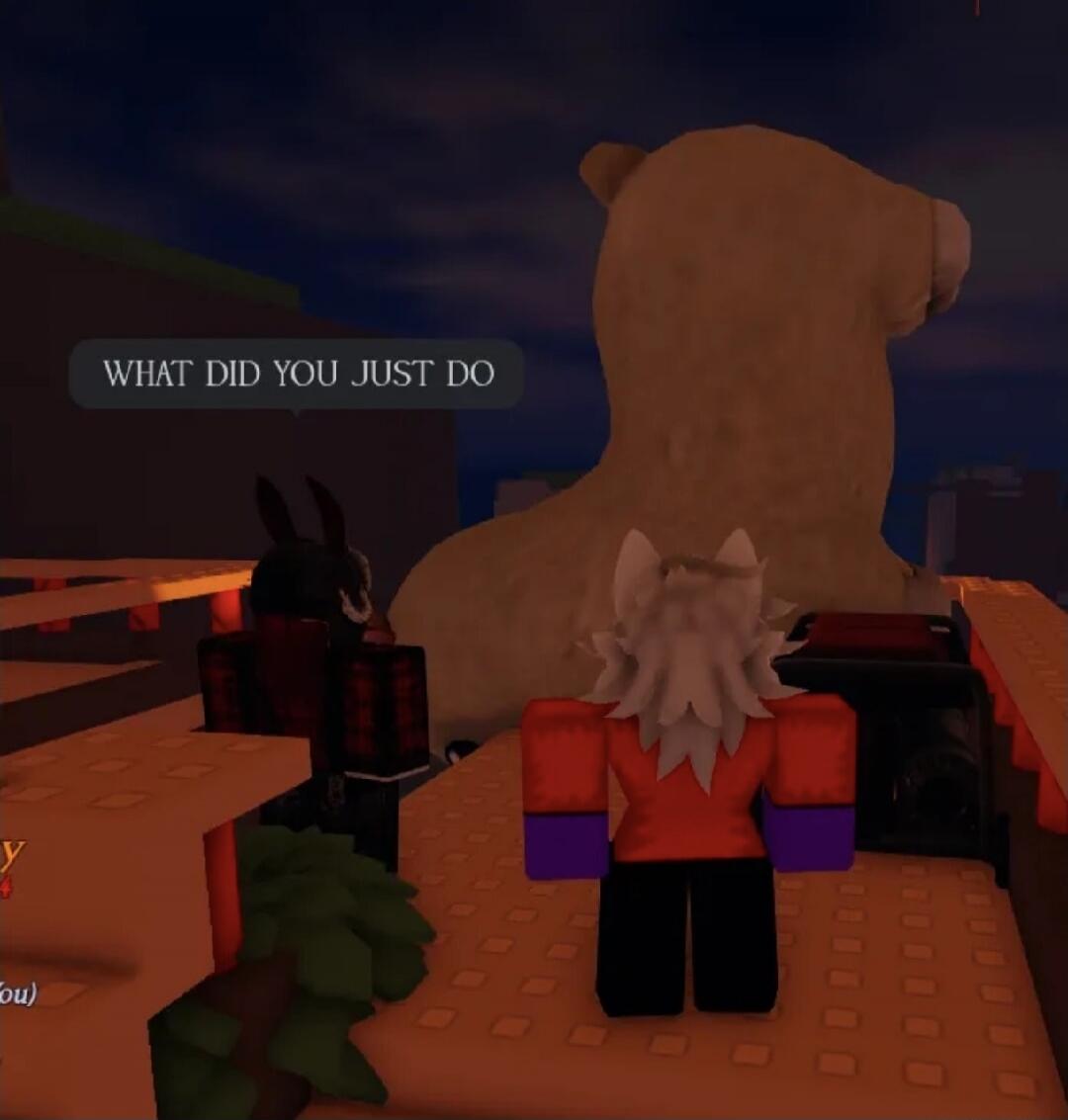 WHAT DID YOU JUST DO