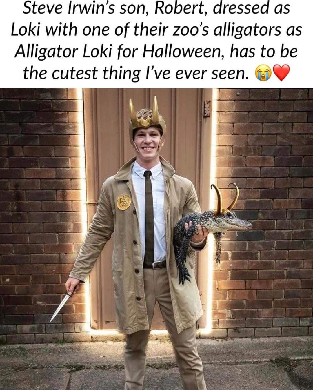 Steve Irwins son Robert Loki with one of their zoos alligators as Alligator Loki for Halloween has to be the cutest thing Ive ever seen